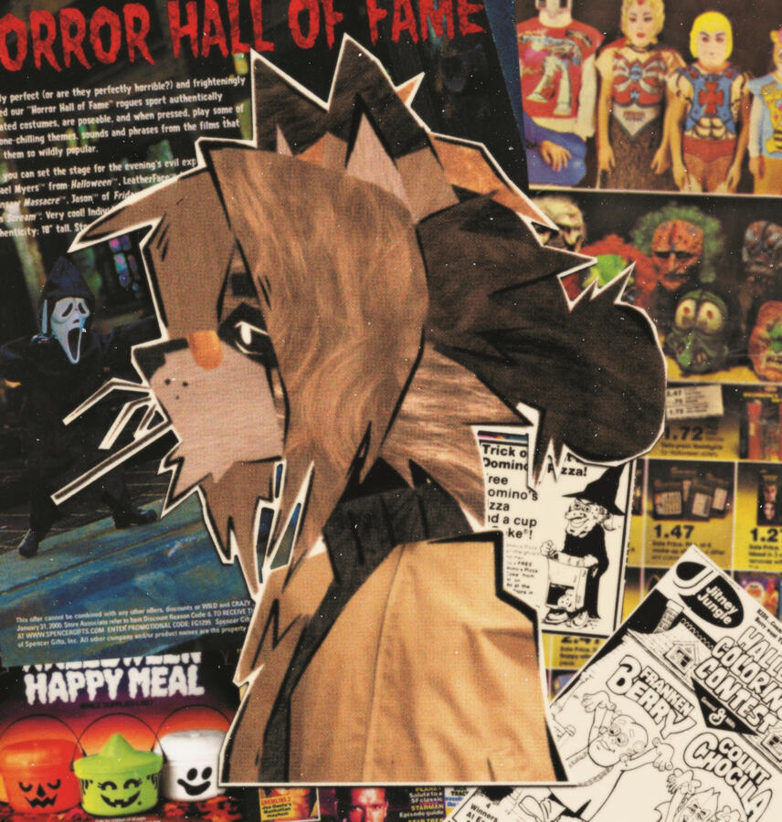 Raccoon Dude Collage (09-05-23)