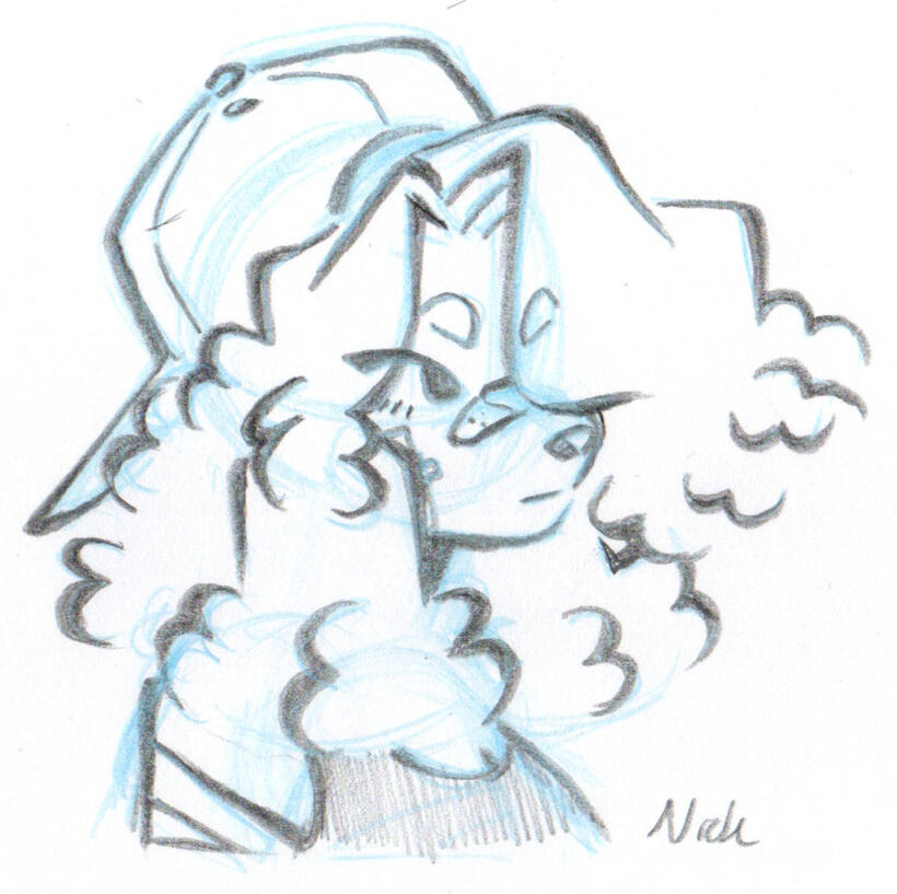 Profile Sketch
