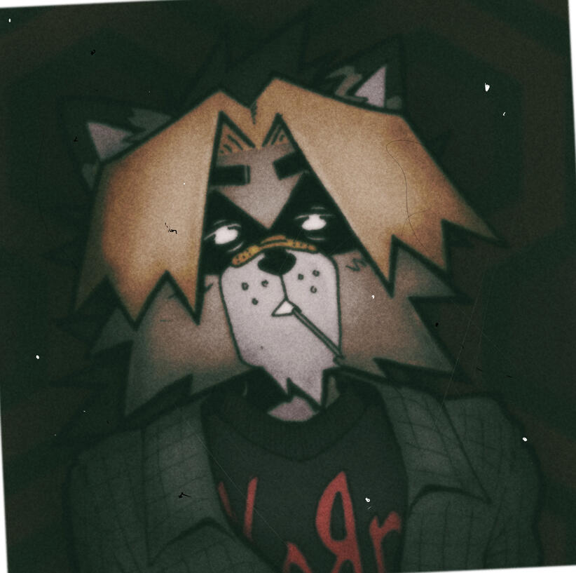 Polaroid